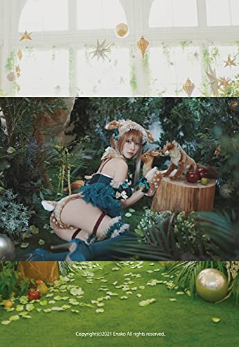 えなこ 寫真集「TERRARIUM」