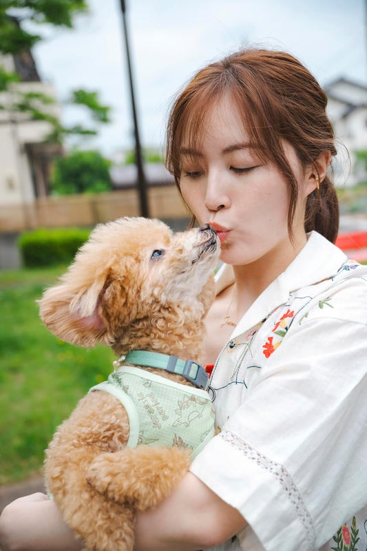 松井珠理奈写真集 アイヲシル