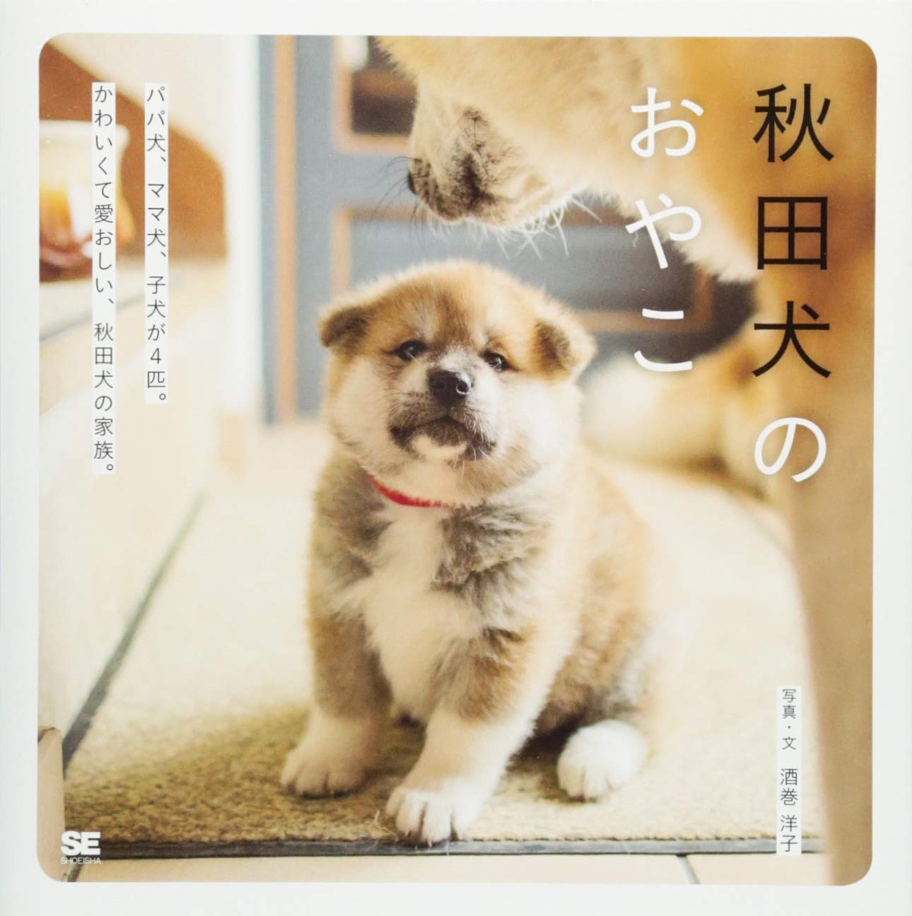 秋田犬のおやこ