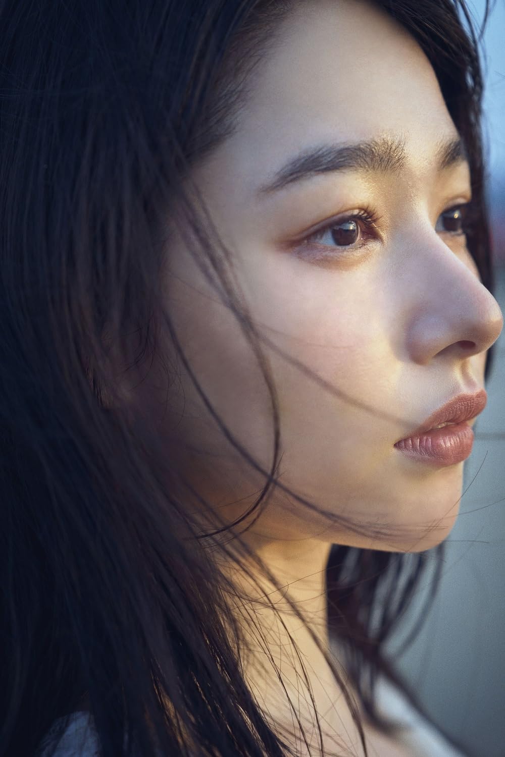 櫻井日奈子 10周年記念 寫真集　鴇色